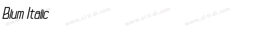 Blum Italic字体转换